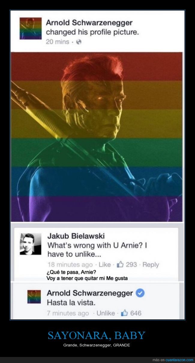 EEUU,facebook,fan,homo,legal,matrimonio,respuesta,Schwarzenegger,un grande
