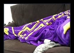 Enlace a HACE TANTO CALOR