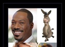 Enlace a NO SIEMPRE, SEÑORES