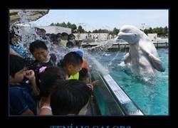 Enlace a ¿TENÍAIS CALOR?