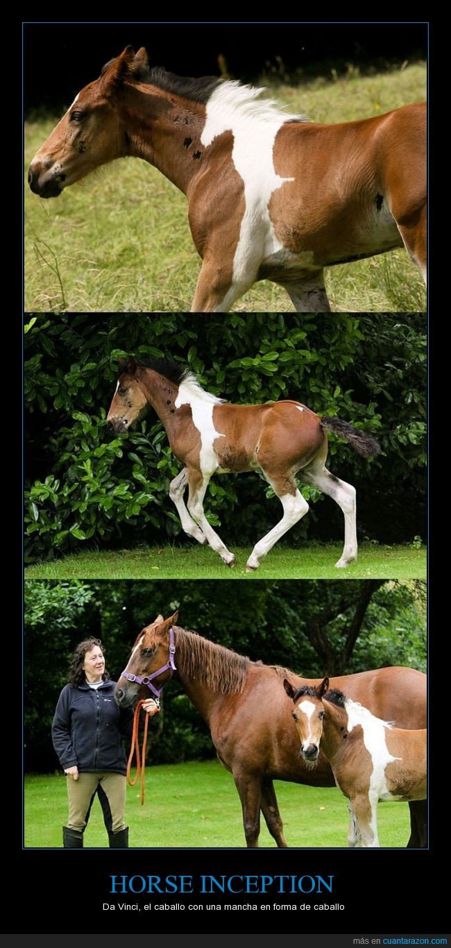Da Vinci,caballo,inception,caballo dentro de caballo,mancha,no es photoshop,curioso