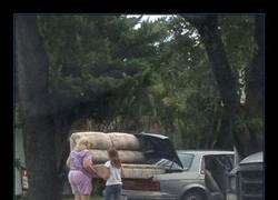 Enlace a PLAN SIN LAGUNAS