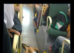 Enlace a NARCOLEPSIA REPENTINA