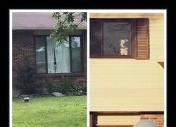 Enlace a Y CADA DÍA SIN FALTA