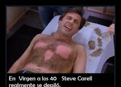 Enlace a UN BUEN ACTOR