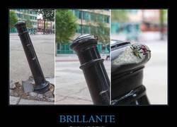 Enlace a BRILLANTE