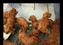 Enlace a Estas fotos a estas horas son muy traicioneras