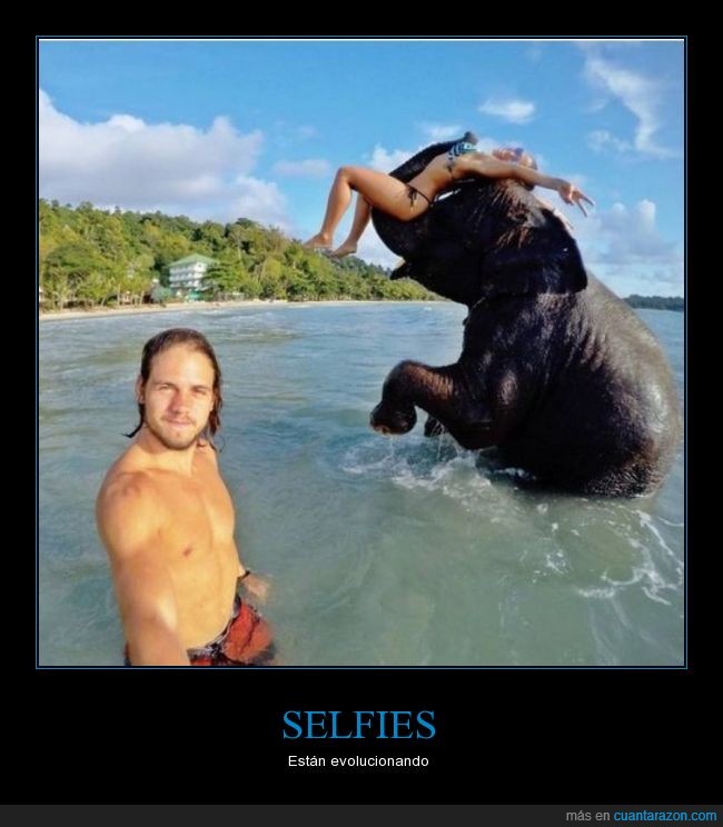 selfie,elefante,agua,playa,wtf