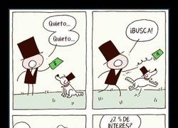 Enlace a FELICIDADES