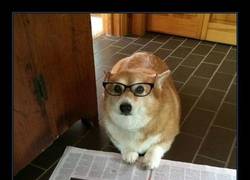 Enlace a ¡Que busques ya trabajo!