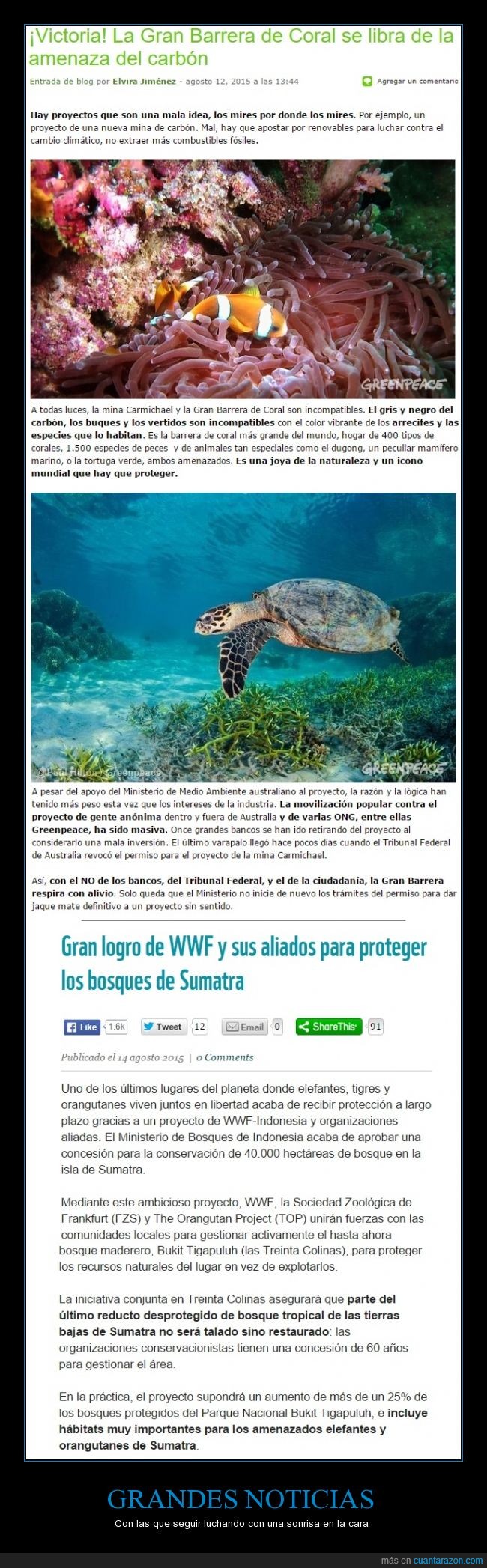 barrera de coral,bosque de Sumatra,gran noticia,Greenpeace,la fundacion DiCaprio ayudo desde 2010 con lo de Sumatra,luchar por un mundo mejor,orangutanes y elefantes por fin a salvo,para mas informacion ir a sus webs,perdon si es muy largo,WWF
