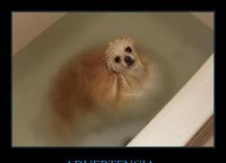 Enlace a ADVERTENCIA: