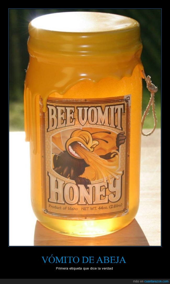 Abeja,miel,dulce,vómito,regurgita 120 a 240 veces cada gota néctar después de su paso por su estómago,botella,tarro,bee vomit