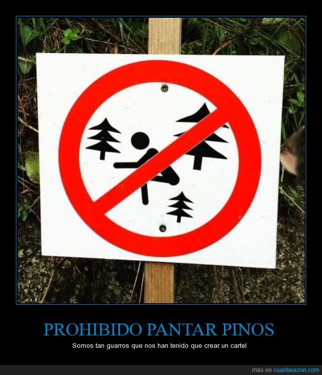 plantar,pinos,literal,cartel,señal,prohibido,prohibicion