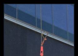 Enlace a ¡Destruyamos a esos cerdos verdes!