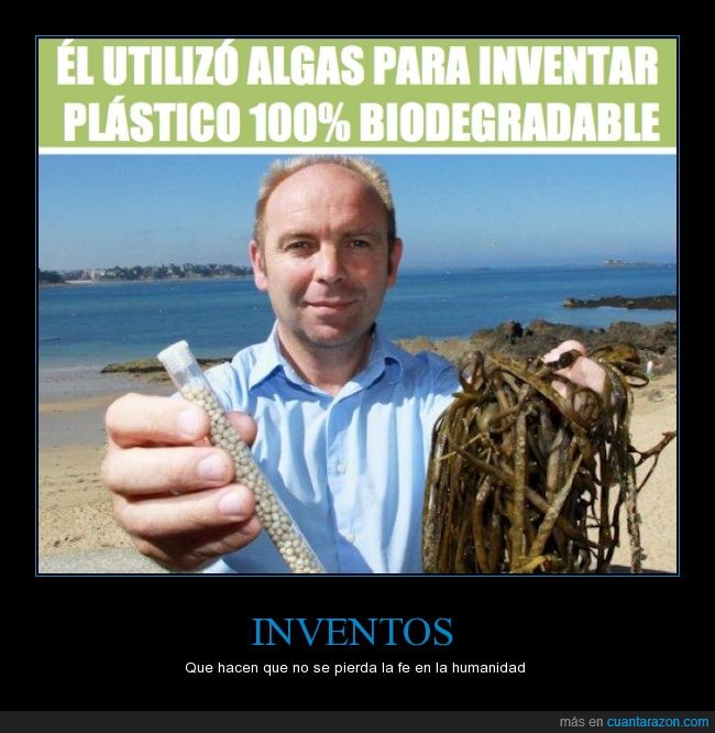 algas,biodegradable,limpio,planeta,plástico,tecnología