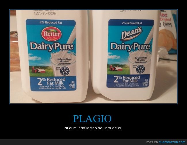 igualitas,leches,plagio,si voy a la tienda no sabría cual comprar,solo cambian las marcas
