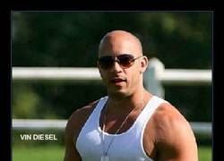 Enlace a Y mira que dicen que son una raza pequeña...