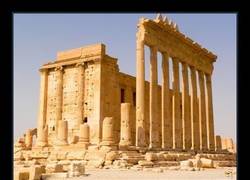 Enlace a ¿Te parece bonito? Pues tengo tristes noticias para ti...