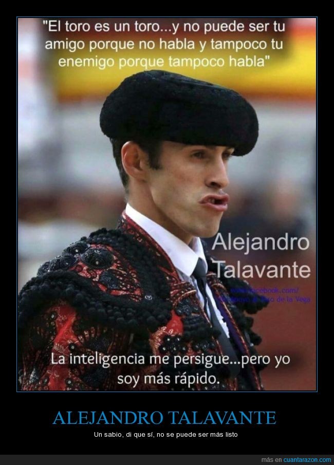 Alejandro Tavalante,torero,amigo,toro,enemigo,hablar,listo,tonto,cerebro