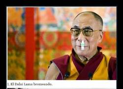 Enlace a DIVERTIDAS FOTOGRAFÍAS