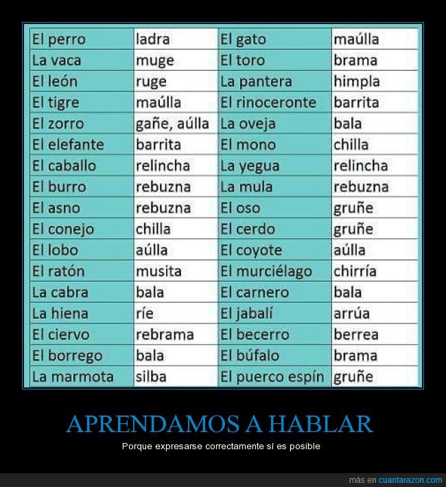 Consejos,español,sonidos de animales,nombre,real,onomatopeya,sonido,ruido