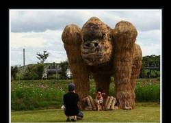 Enlace a El festival de la paja en Japón