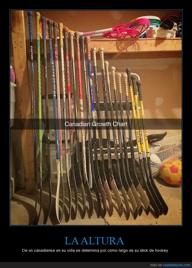 altura,canadiense,stick,palo,hockey