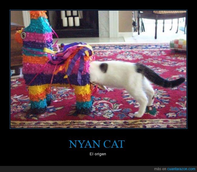 Nyan cat,piñata,gato,nacer