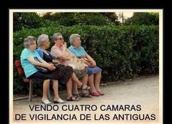 Enlace a Abuelas vigilantes