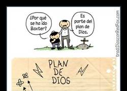 Enlace a LO SIENTO TIM