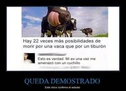 Enlace a Las vacas asesinas