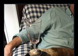 Enlace a A FALTA DE POSAVASOS