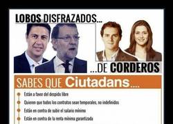 Enlace a CIUDADANOS