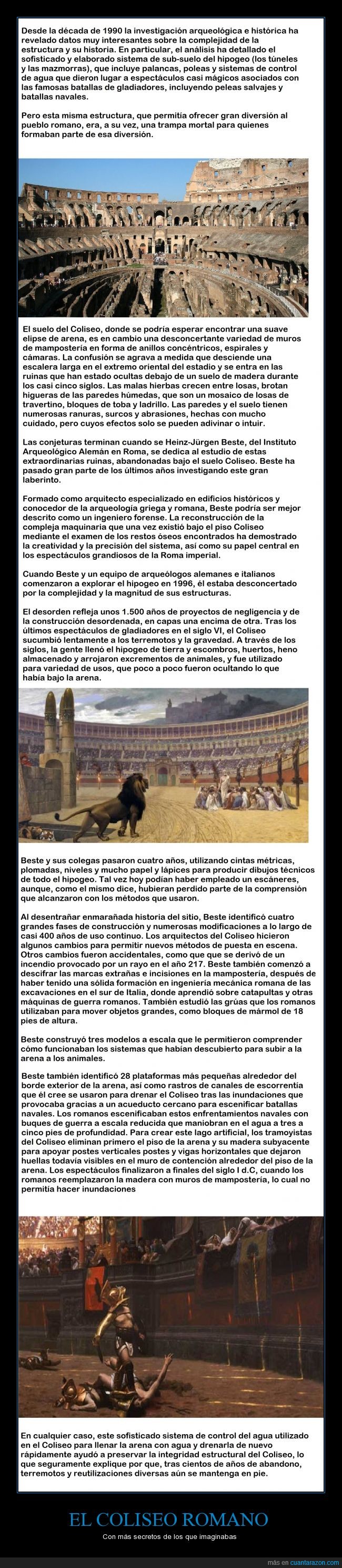 Coliseo romano,Roma,Beste,investigación,naumaquias,interior,romanos