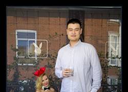 Enlace a YAO MING