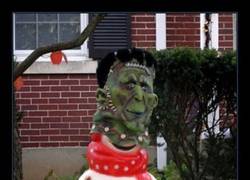 Enlace a DOS PÁJAROS DE UN TIRO