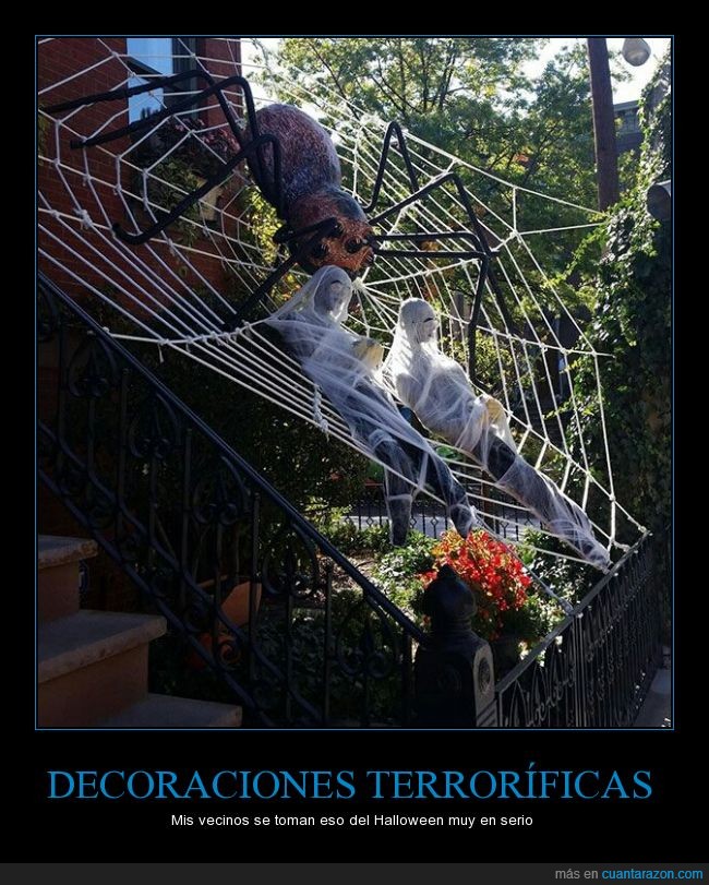 Halloween,araña,telaraña,adorno,escaleras,persona,miedo,muñeco