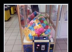 Enlace a HOY, EN ''PASO DE TODO'':