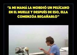 Enlace a ES LA ÚLTIMA ADVERTENCIA