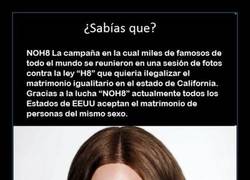 Enlace a ¿Qué es la NOH8 Campaign?
