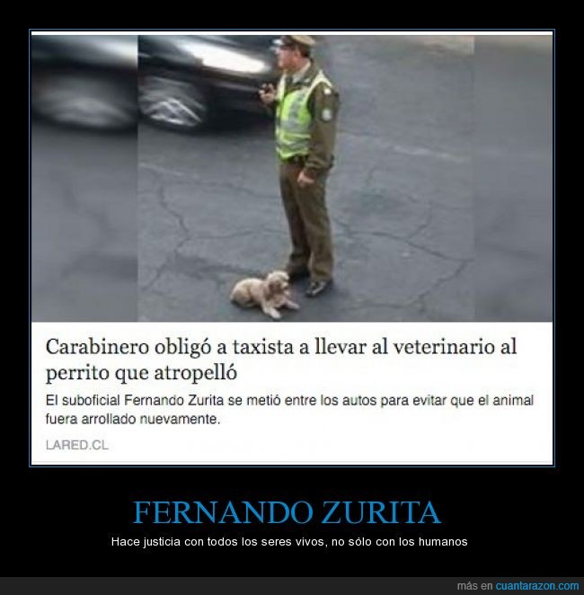 atropellar,carabinero,Fernando Zurita,Italia,perro,policía,salvar,taxista,veterinario