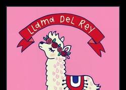 Enlace a Comida y famosos, la unión más mona del día