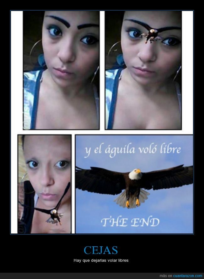 cejas,mujer,alas,águila,maquillaje,volar