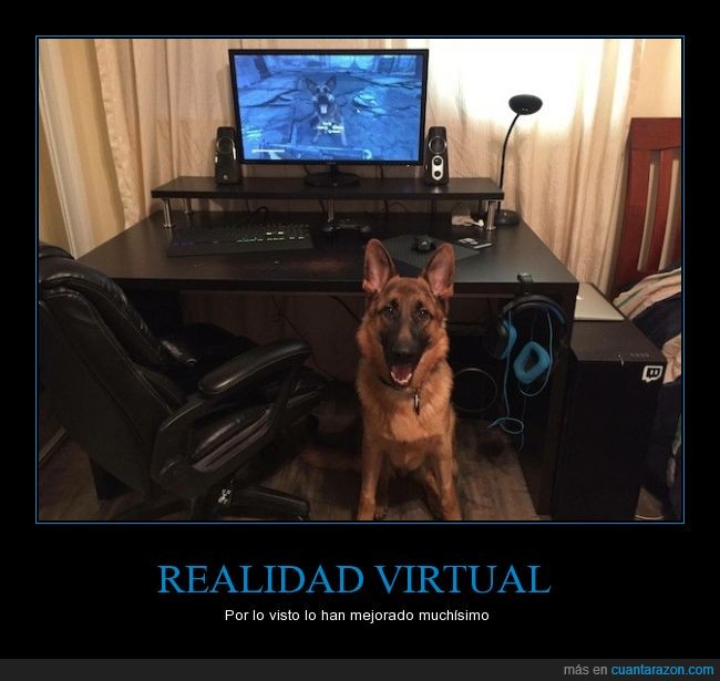 perro,realidad,virtual,juego,videojuego,ordenador,PC GAMING 4 THE WIN,auriculares,Fallout 4