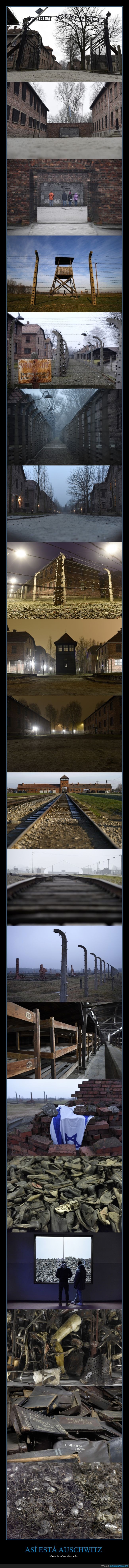 Auschwitz,setenta,años,después,gafas,restos,zapatos,maletas,holocausto,nazismo,nazi,la tardis?