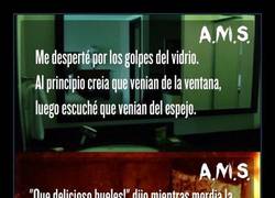 Enlace a AFTER MIDNIGHT SHOW