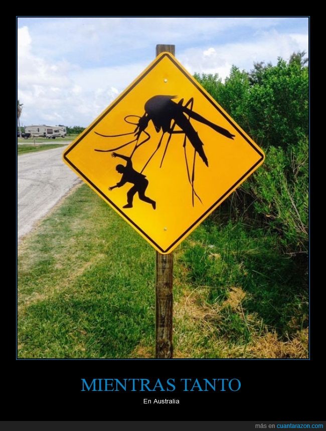 australia,señal,aviso,mosquito,gigante