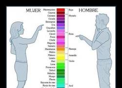 Enlace a DIFERENCIAS DE APRECIACIÓN