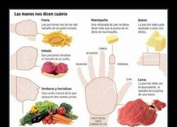 Enlace a La cantidad correcta de cada alimento